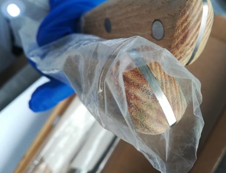 身边的8个问题告诉你，抗菌塑料的重要性