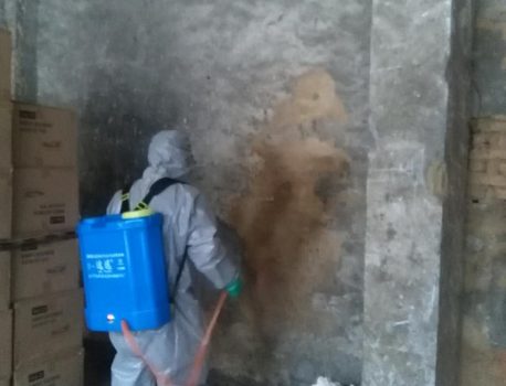 仓库防霉抗菌我们是专业的