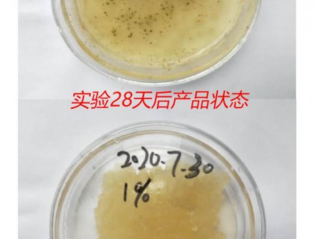 材料防霉检测程序